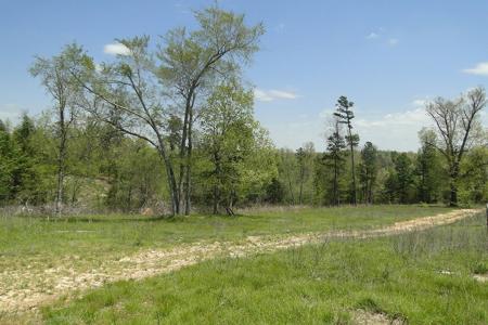 Arkansas Hunting Acreage/Farm For Sale With Creek - image 9