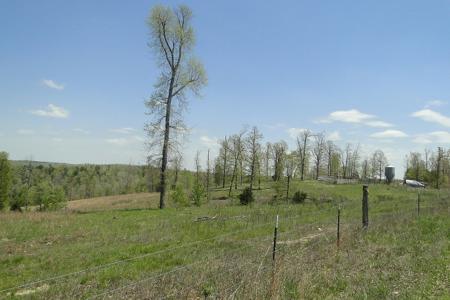 Arkansas Hunting Acreage/Farm For Sale With Creek - image 13