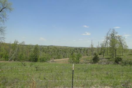 Arkansas Hunting Acreage/Farm For Sale With Creek - image 14