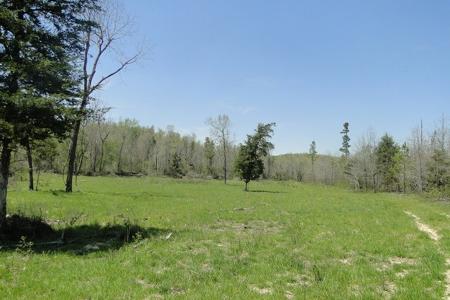 Arkansas Hunting Acreage/Farm For Sale With Creek - image 19