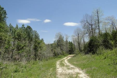 Arkansas Hunting Acreage/Farm For Sale With Creek - image 23