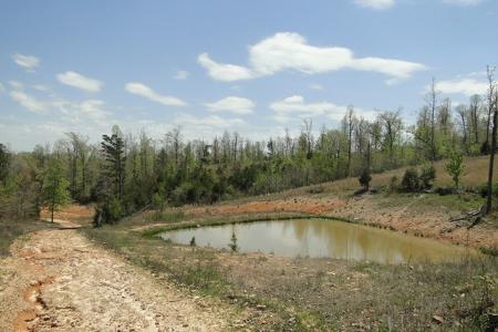 Arkansas Hunting Acreage/Farm For Sale With Creek - image 21