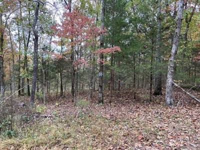 Arkansas Hunting Land 10 acres woods recreational property - image 2
