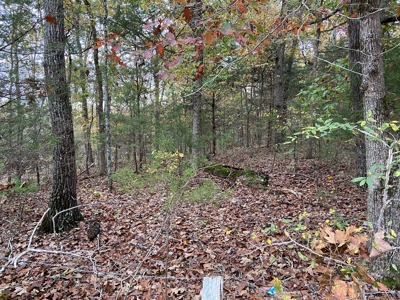 Arkansas Hunting Land 10 acres woods recreational property - image 1