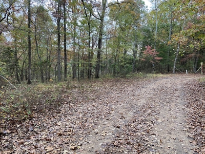 Arkansas Hunting Land 10 acres woods recreational property - image 3
