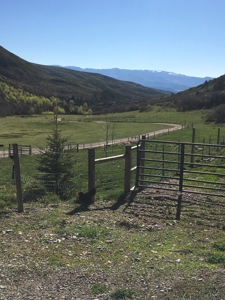 Colorado off-grid mountain horse property for sale, hunting - image 9
