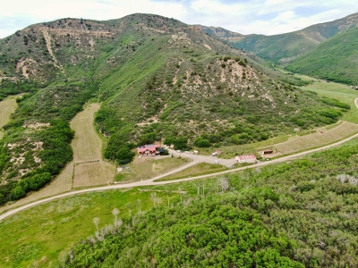 Colorado off-grid mountain horse property for sale, hunting - image 14