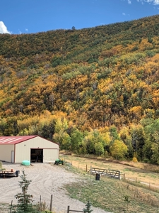 Colorado off-grid mountain horse property for sale, hunting - image 8