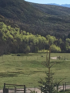 Colorado off-grid mountain horse property for sale, hunting - image 7