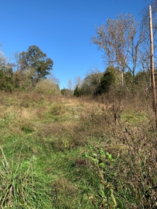 East Tennessee Unrestricted Land for Sale Hamblen County - image 6