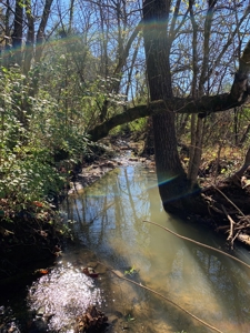 East Tennessee Unrestricted Land for Sale Hamblen County - image 7