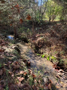 East Tennessee Unrestricted Land for Sale Hamblen County - image 19