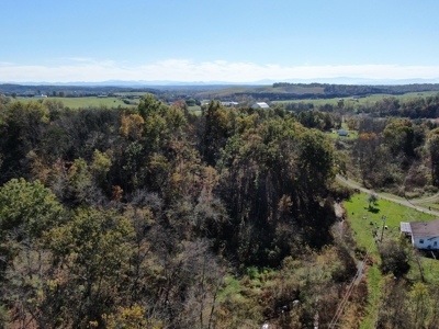 East Tennessee Unrestricted Land for Sale Hamblen County - image 3