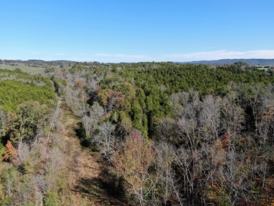 East Tennessee Unrestricted Land for Sale Hamblen County - image 2