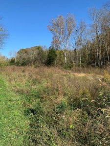 East Tennessee Unrestricted Land for Sale Hamblen County - image 25