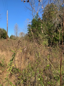 East Tennessee Unrestricted Land for Sale Hamblen County - image 23