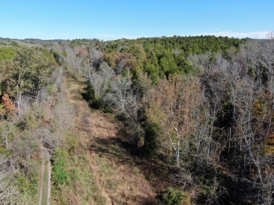 East Tennessee Unrestricted Land for Sale Hamblen County - image 4