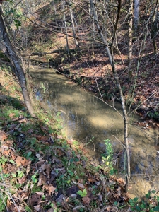 East Tennessee Unrestricted Land for Sale Hamblen County - image 21