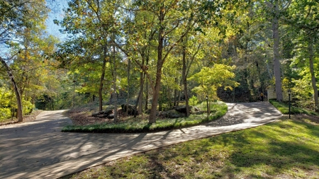 Waterfront Home For Sale Lake Palestine, 2-Story W/ Elevator - image 7