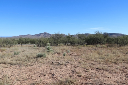 80 acres in historic Dragoon, AZ on Flying Horseshoe Ranch - image 20