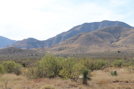 80 acres in historic Dragoon, AZ on Flying Horseshoe Ranch - image 9