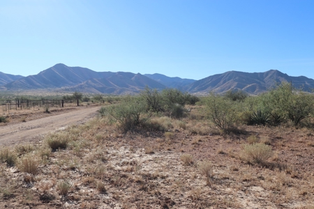 80 acres in historic Dragoon, AZ on Flying Horseshoe Ranch - image 29