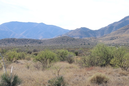 80 acres in historic Dragoon, AZ on Flying Horseshoe Ranch - image 11