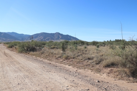 80 acres in historic Dragoon, AZ on Flying Horseshoe Ranch - image 15