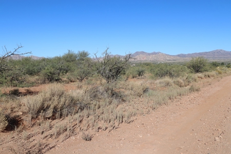 80 acres in historic Dragoon, AZ on Flying Horseshoe Ranch - image 32