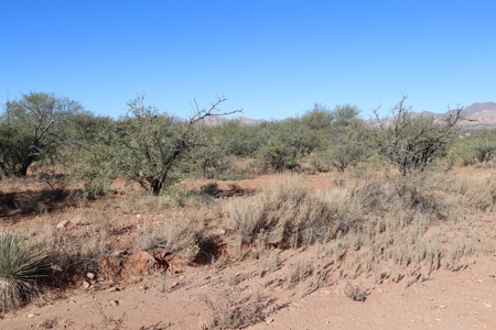 80 acres in historic Dragoon, AZ on Flying Horseshoe Ranch - image 33