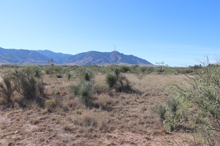 80 acres in historic Dragoon, AZ on Flying Horseshoe Ranch - image 23