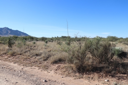 80 acres in historic Dragoon, AZ on Flying Horseshoe Ranch - image 16