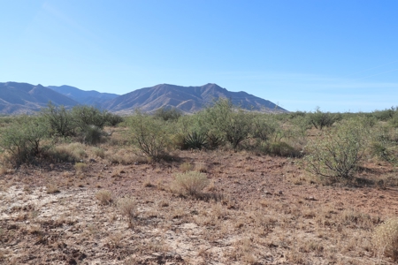 80 acres in historic Dragoon, AZ on Flying Horseshoe Ranch - image 30