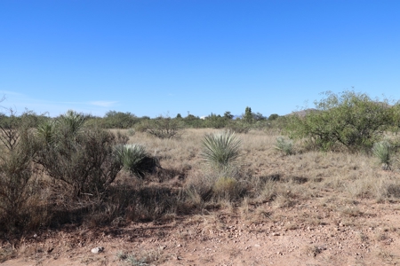80 acres in historic Dragoon, AZ on Flying Horseshoe Ranch - image 17