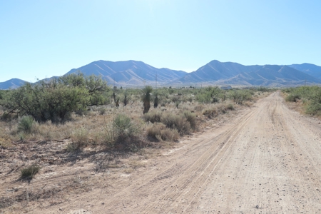 80 acres in historic Dragoon, AZ on Flying Horseshoe Ranch - image 19
