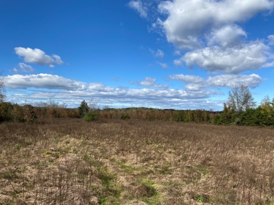 Large Land Tract for Sale in Halifax County - image 5