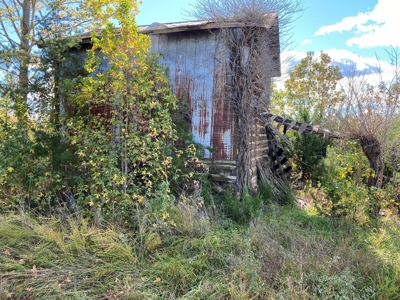 Large Land Tract for Sale in Halifax County - image 4