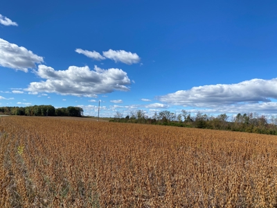 Large Land Tract for Sale in Halifax County - image 8