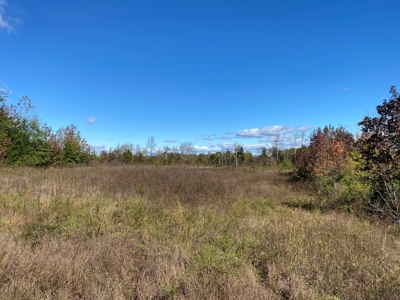 Large Land Tract for Sale in Halifax County - image 3
