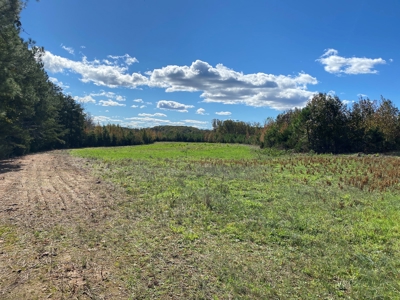 Large Land Tract for Sale in Halifax County - image 9