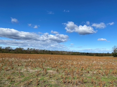 Large Land Tract for Sale in Halifax County - image 10