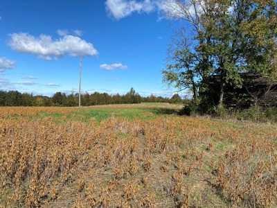 Large Land Tract for Sale in Halifax County - image 7