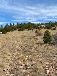 Off-Grid Cabin for Sale on 12.9 Acres in Westcliffe CO - image 15