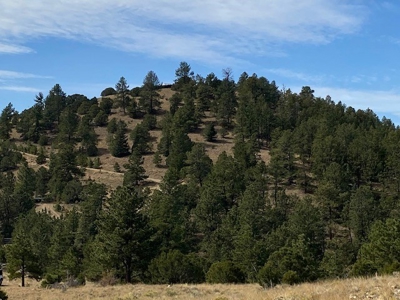 Off-Grid Cabin for Sale on 12.9 Acres in Westcliffe CO - image 10