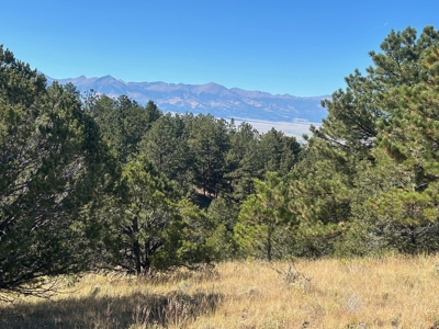 Off-Grid Cabin for Sale on 12.9 Acres in Westcliffe CO - image 31