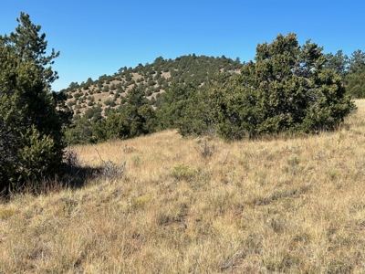 Off-Grid Cabin for Sale on 12.9 Acres in Westcliffe CO - image 32