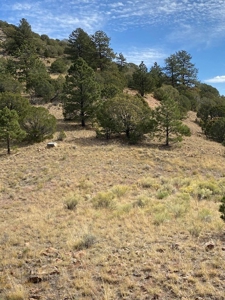Off-Grid Cabin for Sale on 12.9 Acres in Westcliffe CO - image 12
