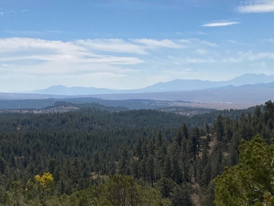Off-Grid Cabin for Sale on 12.9 Acres in Westcliffe CO - image 11