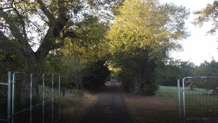 Texas Timberland Property & Hunting Land For Sale - image 2