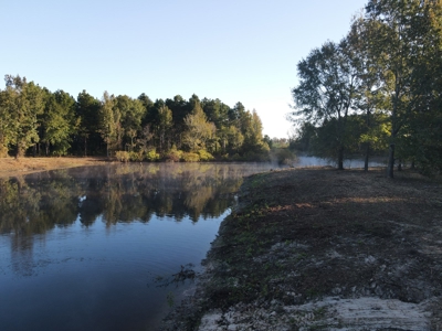 Texas Timberland Property & Hunting Land For Sale - image 14